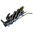  Morgha