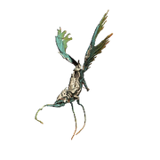 SporuleAvichaea.png