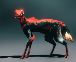 Kavat 5