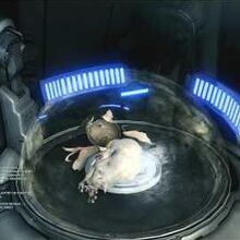Howl Of The Kubrow Warframe Wiki Fandom Once you have your kubrow egg, head back to your orbiter and toss it in the incubator. howl of the kubrow warframe wiki fandom