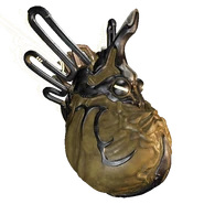 Mature Membroid.png (185 KB) Mature Membroid Rare