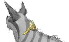 KubrowCollarPrimeA-0.png