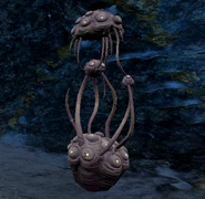 Tasoma Deposit.png (372 KB) Deposit