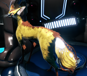 Smeeta Kavat-Guppy Tail, Short Ears