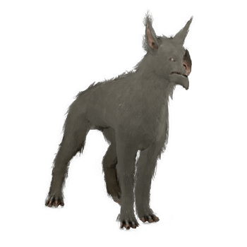 SunikaKubrow