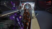 Nidus