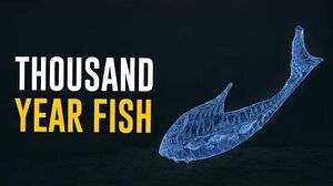 Thousand Year Fish & All You need to Know! (Warframe)