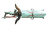 Cyngas.png