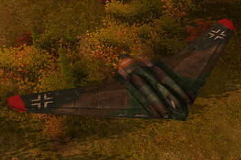 WF Ingame Horten