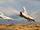 Mirage IIIEZ