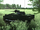 M114A2