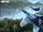 MiG-29M