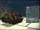 Tracked Rapier FSA