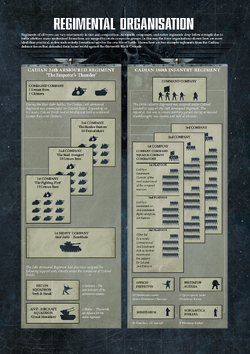 AstraMilitarumRegimentalOrganisation