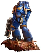 UM Primaris Space Marine.jpg (125 KB) Primaris Space Marine Intercessor of the Ultramarines wielding a Mark II Cawl Pattern Bolt Rifle.