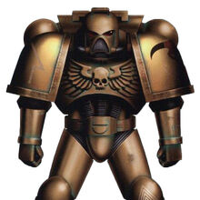 Minotaurs Warhammer 40k Wiki Fandom