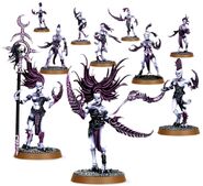 A large retinue of Daemonettes