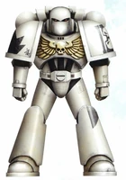 Star Phantoms Battle-Brother Pretanus in Mark VI Corvus Power Armour