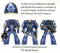 Select members of Tactical Squad Manorian, "The Shield Bearers," of the Ultramarines Chapter.