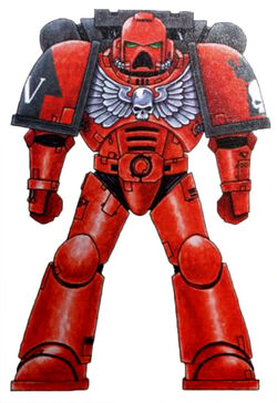 Crimson Castellans Astartes