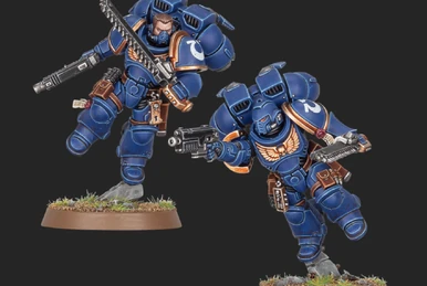 Assault Intercessor | Warhammer 40k Wiki | Fandom