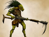 Kroot