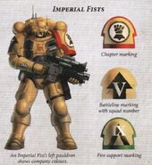 A Vanguard Infiltrator of the Imperial Fists Chapter