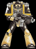 A Mortifactors Tactical Marine