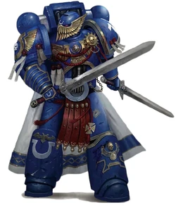 A member of the Ultramarines  stands resolute.