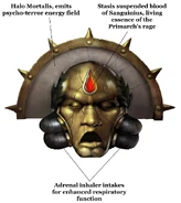 The Death Mask of Sanguinius