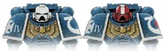 Space Marine helmets frequently display rank and battle honours; red helmets, for example, are reserved for sergeants, whilst a white helmet or laurel designates a Veteran; Veteran sergeants typically incorporate both honours in the form of a white stripe down the centre of their red helmets.