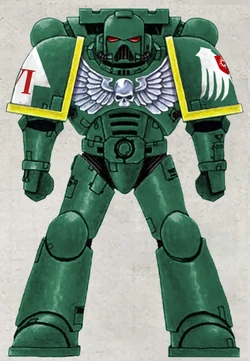 Angel Guard Chapter Colour Scheme as displayed by a   of the 2nd Company.