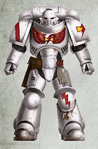 A White Scars Primaris Space Marine, Brother Ganzorig, White Scars 9th Company, 2nd Squad (Fire Support) in Mark X Tacticus Power Armour