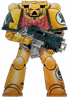 Battle-Brother Onor of the Imperial Fists 5th Company, 4th Tactical Squad.