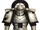 Centurion (Space Marine Rank)