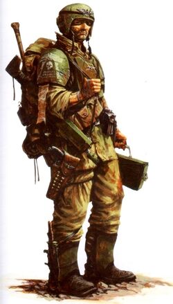 Cadian Shock Trooper