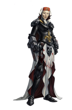 Are the Warhammer 40k Adepta Sororitas/Sisters of Battle one of the best  female warrior representation in fantasy games? (IMAGE HEAVY)