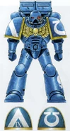A Devastator Marine of the Ultramarines 2nd Company