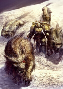 Fenrisian Wolves