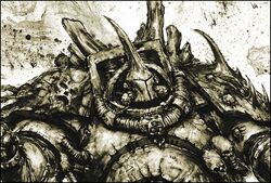 Typhus2