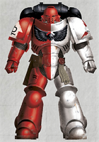 A Storm Lords Primaris Space Marine wearing Mark X Tacticus Power Armour.