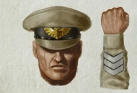 The short-peak cap with Imperial crest worn by Cadian officers makes them easily identifiable upon the battlefield; the triple chevron sleeve marking denotes an Infantry Squad Sergeant