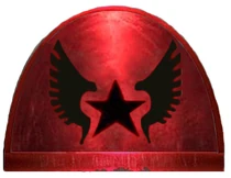 Celebrants Shoulder Pad