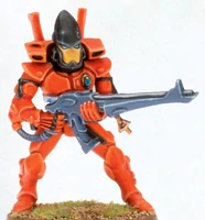 An Aeldari Guardian Defender of Craftworld Lugganath