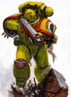 An Imperial Fists Astartes in combat, armed with a Bolter.