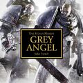 Grey Angel Cover.jpg