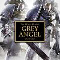 Grey Angel Cover