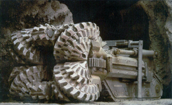 A  showing its  drilling blades.