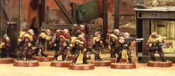 Savlar Chem Dogs
