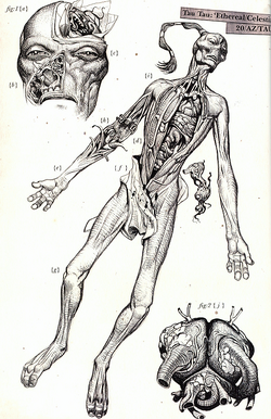 EtherealDissection